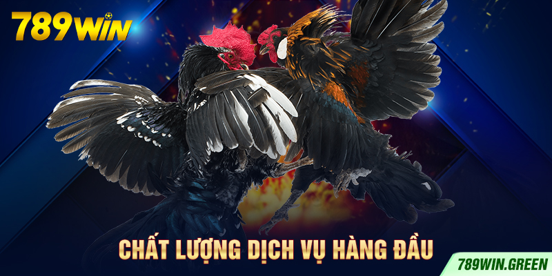 Chất lượng dịch vụ hàng đầu Chất lượng dịch vụ hàng đầu