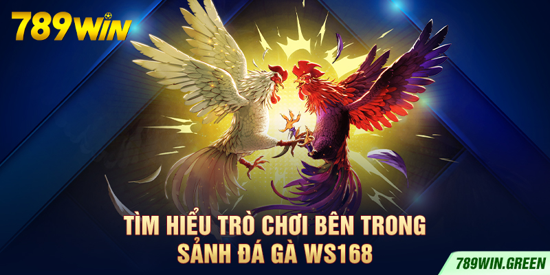 Tìm hiểu trò chơi bên trong sảnh đá gà WS168 Tìm hiểu trò chơi bên trong sảnh đá gà WS168