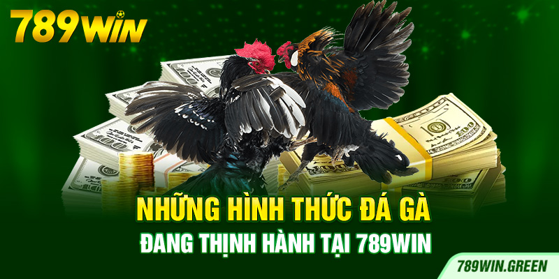 Những hình thức đá gà đang thịnh hành tại 789win Những hình thức đá gà đang thịnh hành tại 789win
